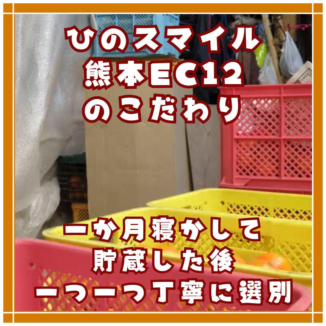 熊本みかん　熊本EC12 ひのスマイル　3キロ　バラ詰め家庭用　メルカリショップ