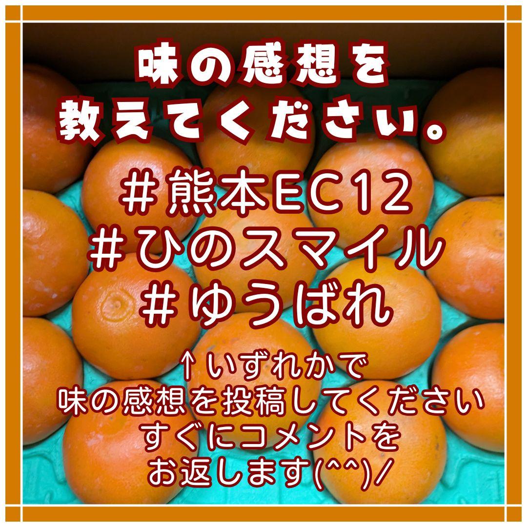 熊本みかん　熊本EC12 ひのスマイル　3キロ　バラ詰め家庭用　メルカリショップ