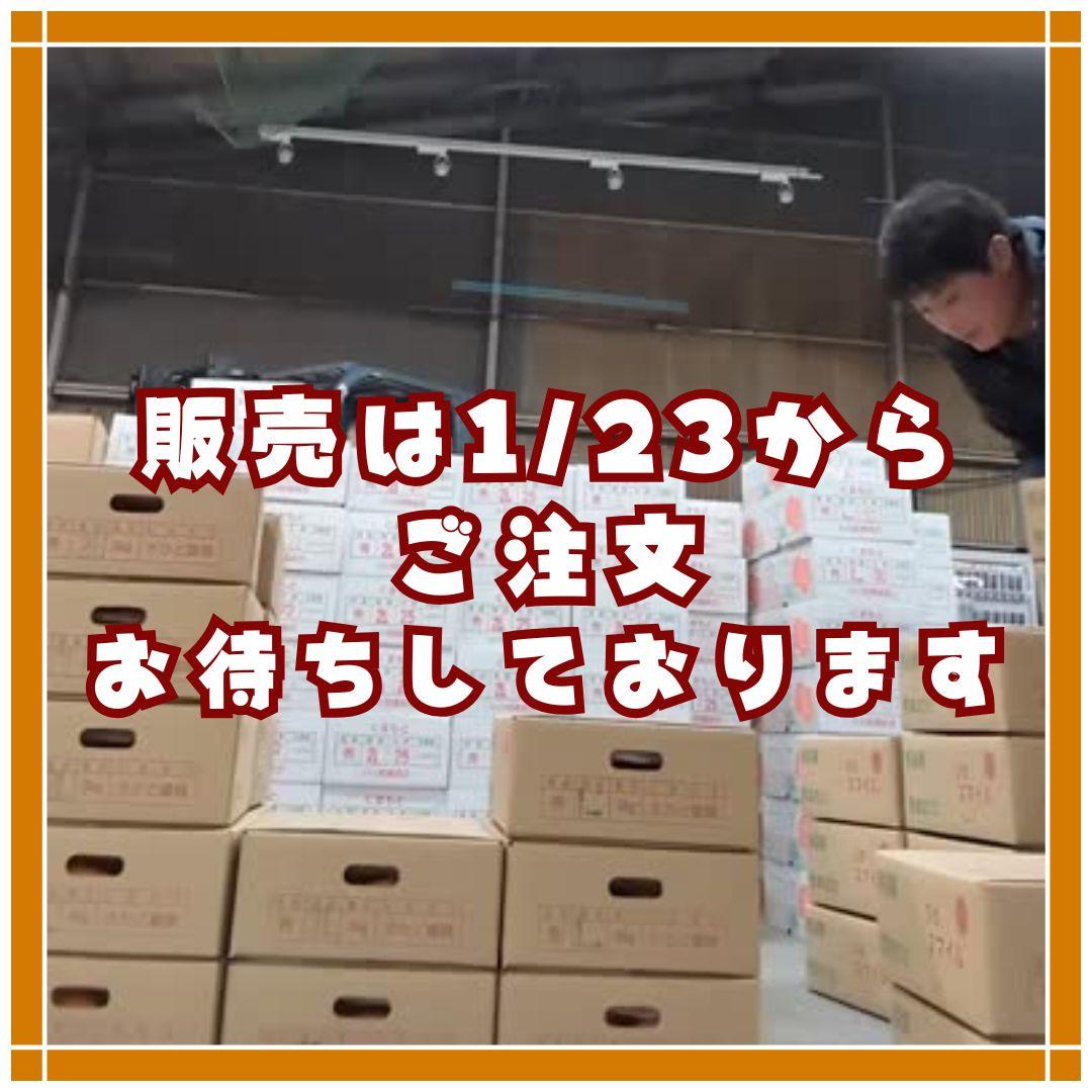 熊本みかん　熊本EC12 ひのスマイル　3キロ　バラ詰め家庭用　メルカリショップ
