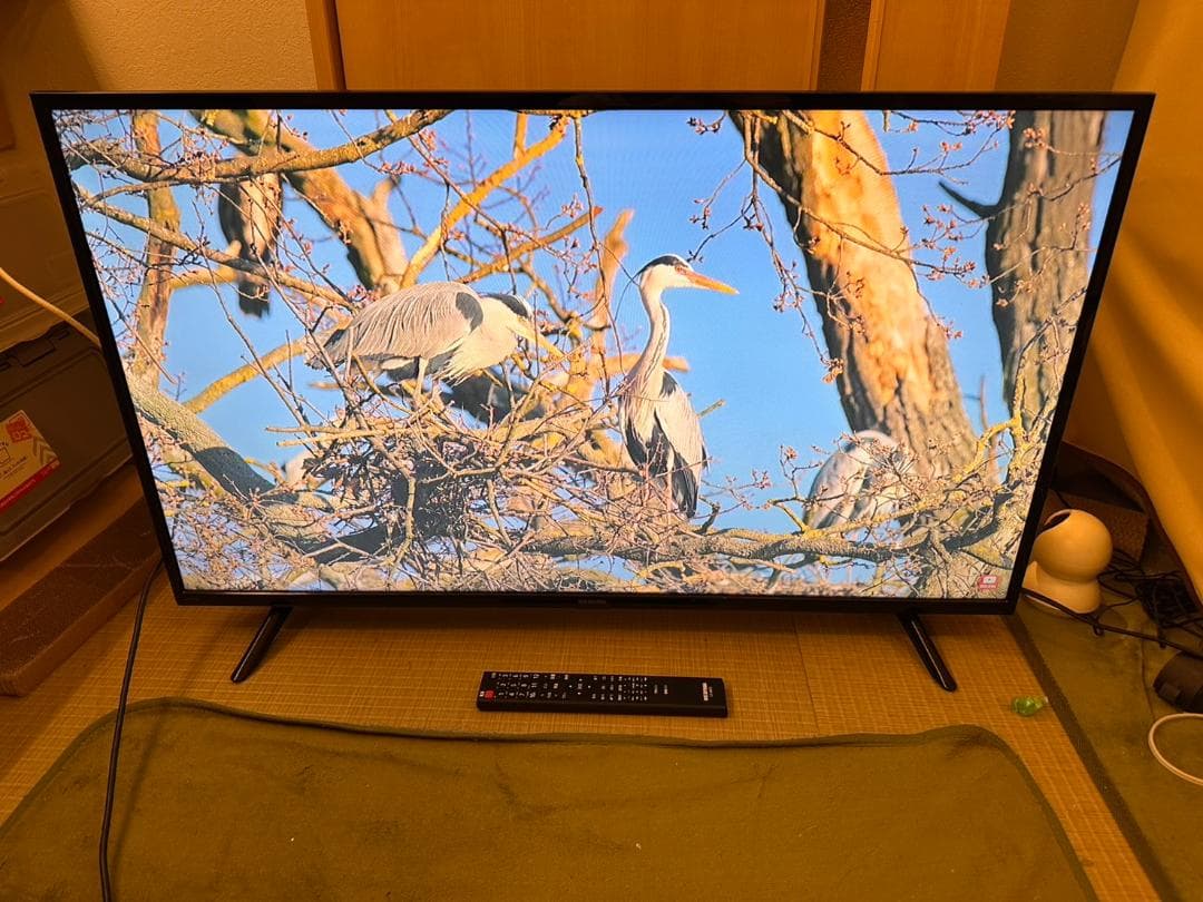 アイリスオーヤマ　IRISOHYAMA　40型　テレビ　40FB10PB　超美品