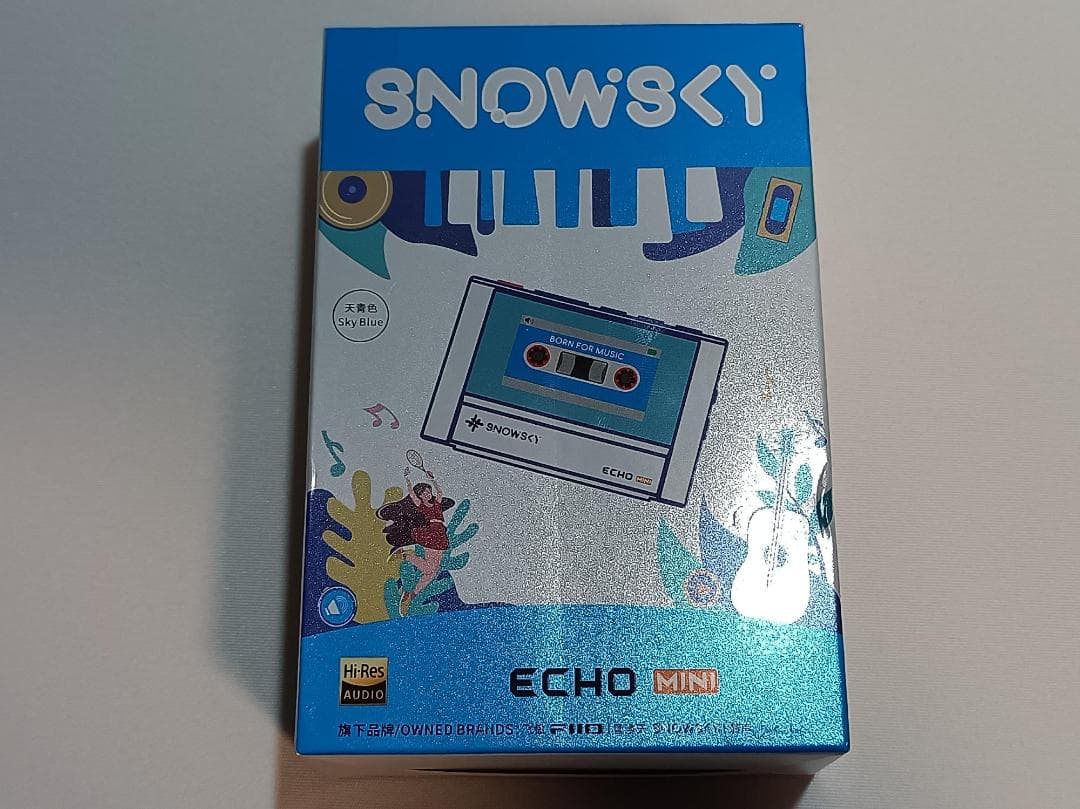 FIIO sky ECHO MINI 皮ケース付き DAP