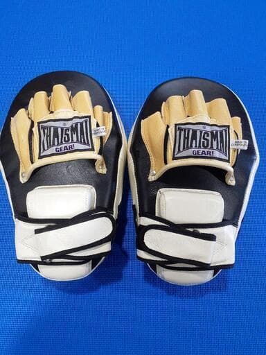 コーチングミット【値下げしました】