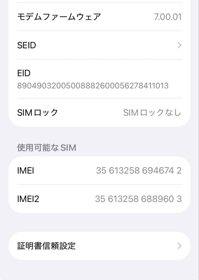 iPhone SE 第2世代 64GBジャンク