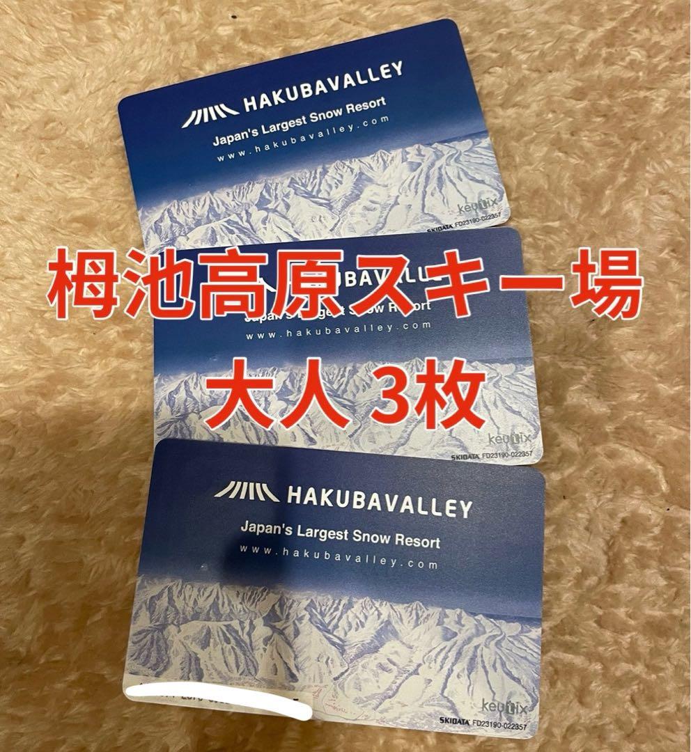 栂池高原スキー場 リフト1日券 3枚 2024-2025シーズン用