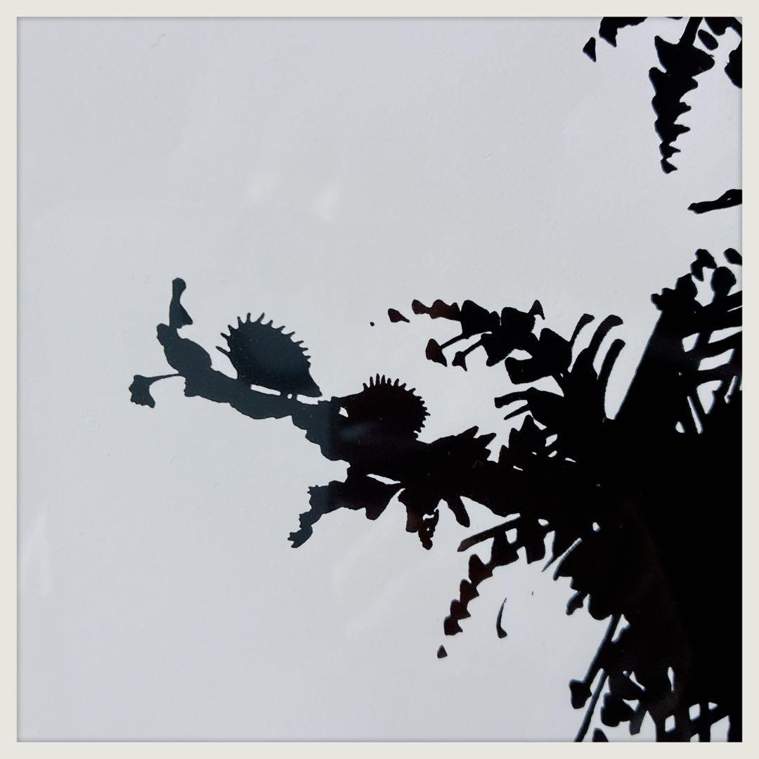 BJORNWIINBLAD シルエット春の絵 シックな黒の特別な額に入れて