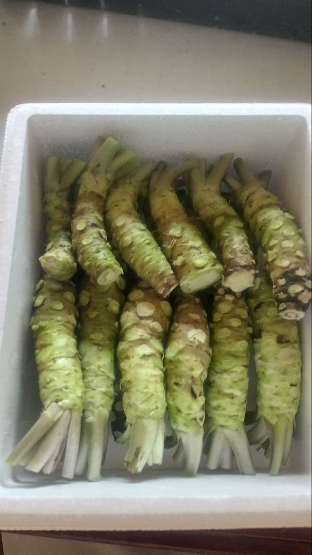 生わさび　大小混合　1kg分