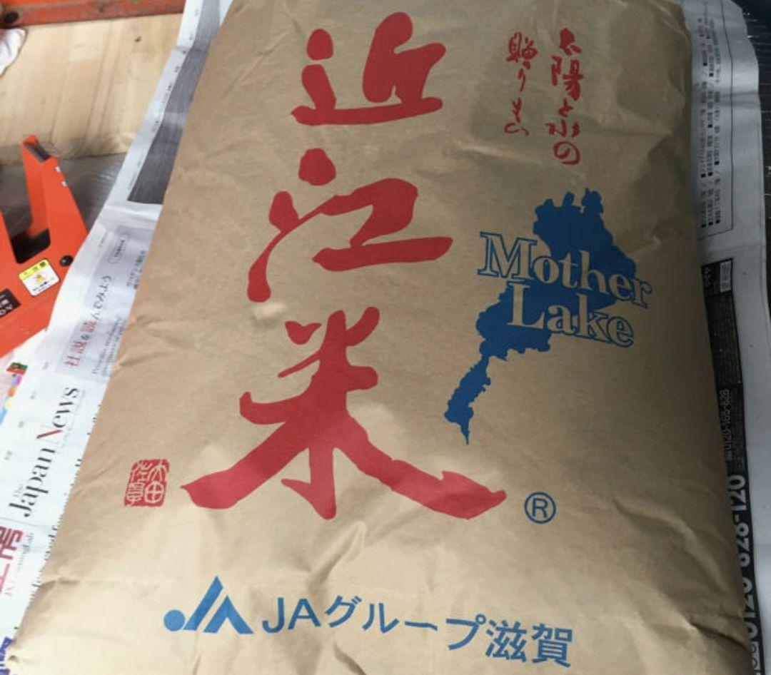 近江米　玄米　30kg 令和7年産　コシヒカリ