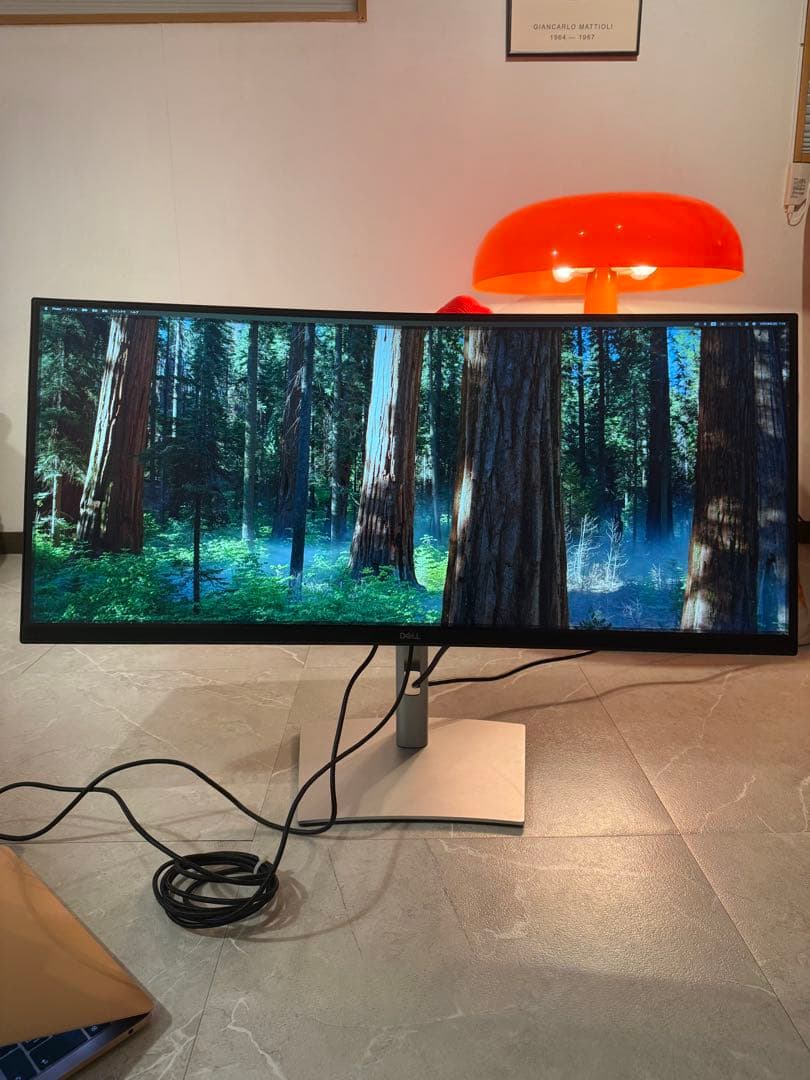 DELL ウルトラワイド曲面ディスプレイ 本体　p3421w