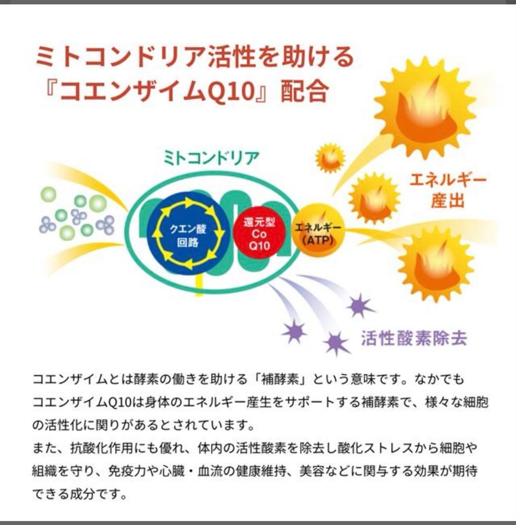 インターナルリセット フォーミュラ０５／インパクトボディ バーン （６０包）