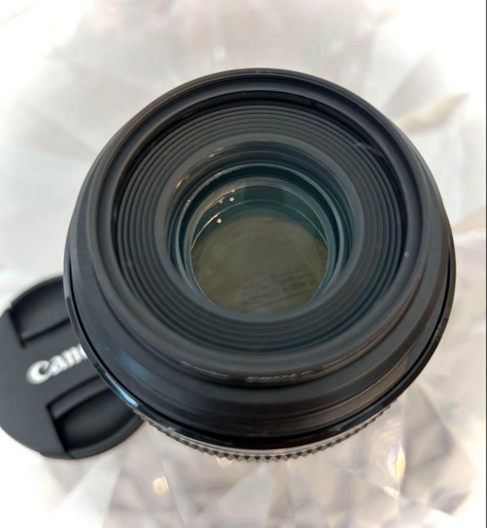 ✳︎美品✳︎ Canon EFS60mm f/2.8 Macro USM カメラ