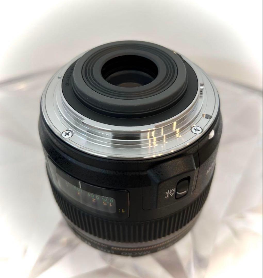 ✳︎美品✳︎ Canon EFS60mm f/2.8 Macro USM カメラ