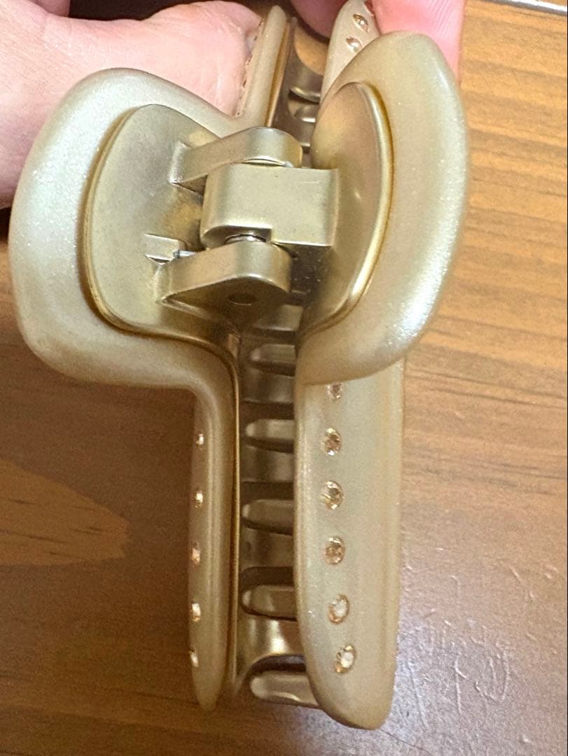 アレクサンドルドゥパリ❤︎大サイズ