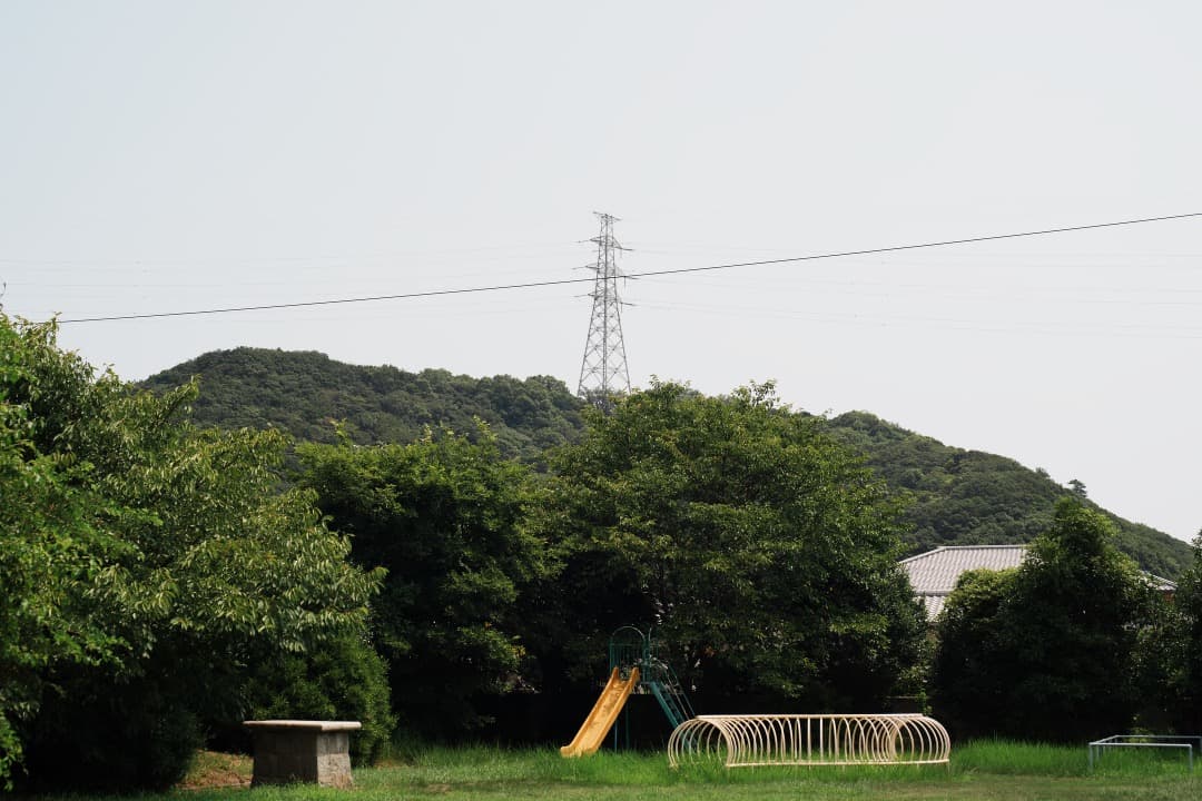 【整備済】Carl Zeiss Planar 50mm F1.4 MMJ 417