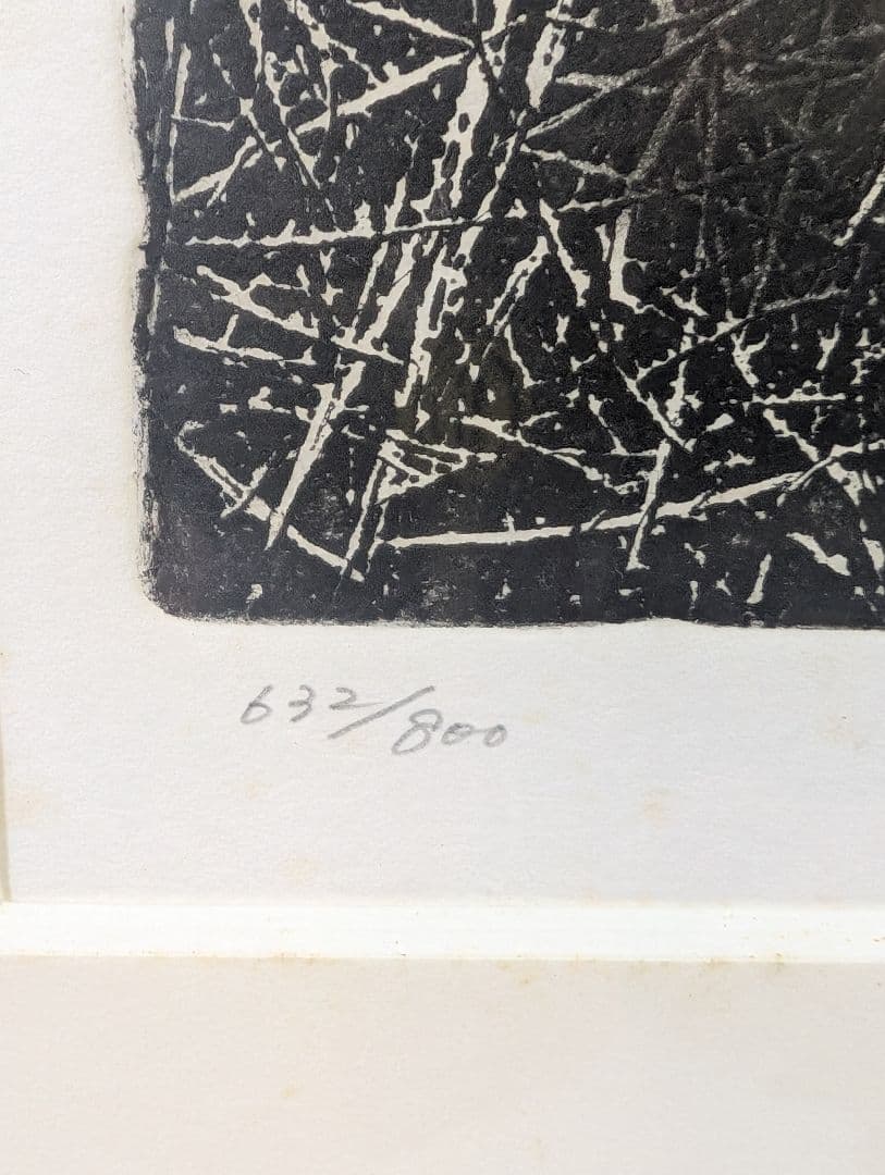 中林忠良 転位 '93 - 地 (種子) エッチング 632/800静物画　版画