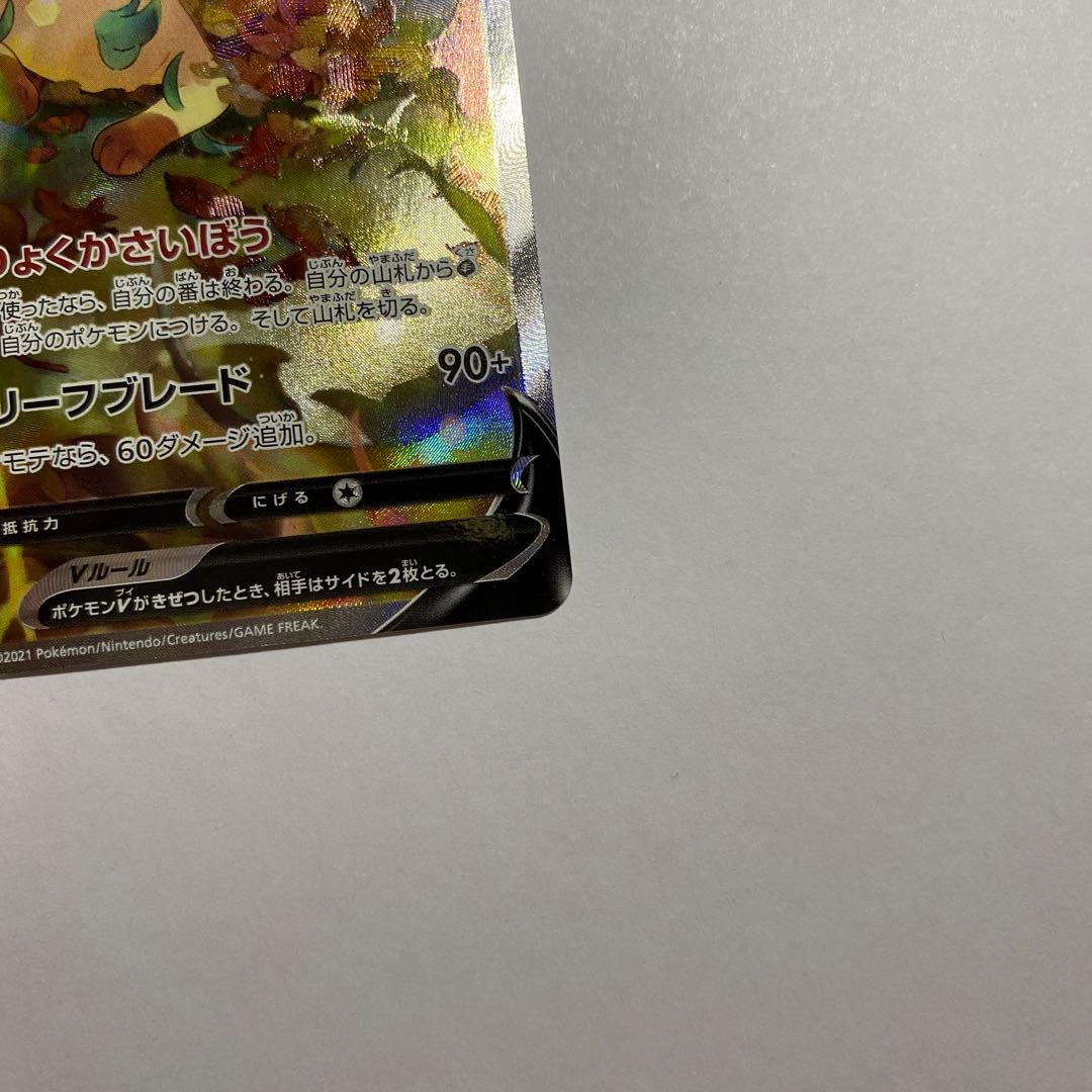 リーフィアV sa SR