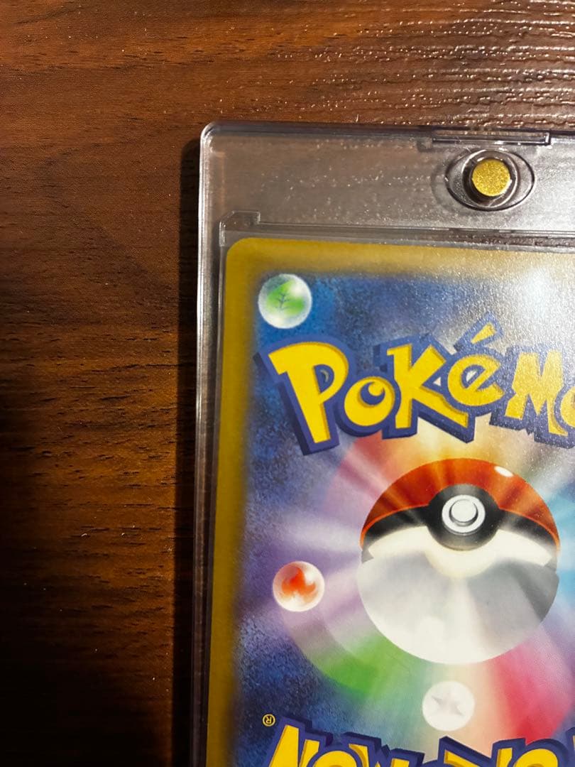 メガカイリューex SAR 246/193 美品