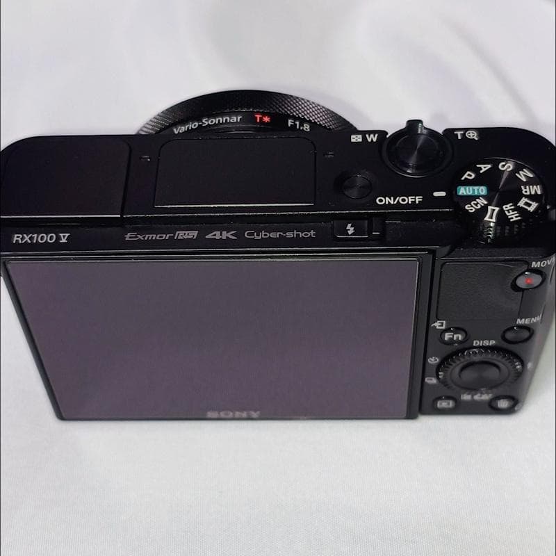 SONY DSC-RX100M5【極美品】完動品・アクセサリー多数