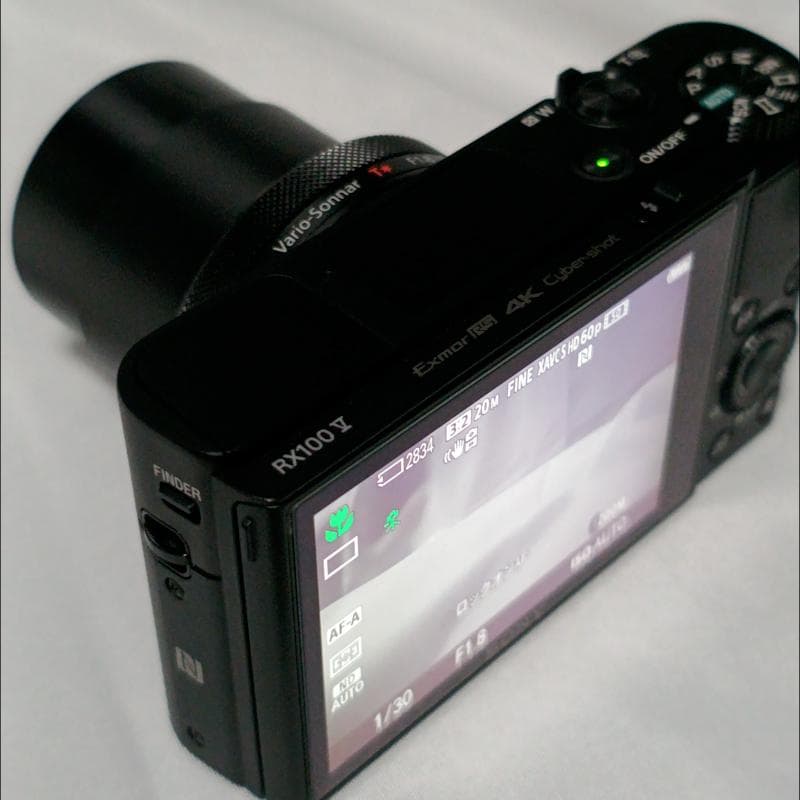 SONY DSC-RX100M5【極美品】完動品・アクセサリー多数