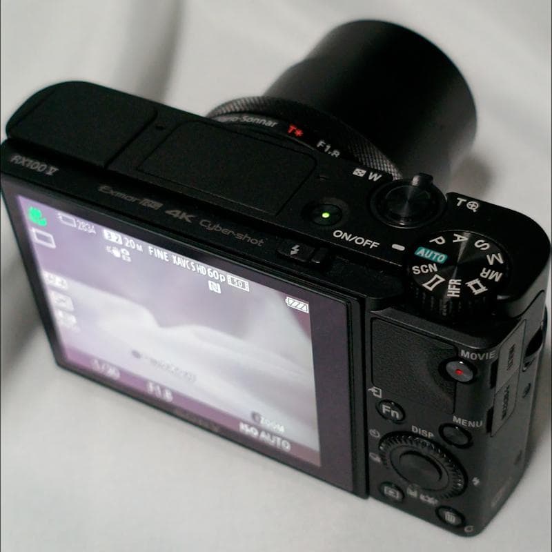 SONY DSC-RX100M5【極美品】完動品・アクセサリー多数