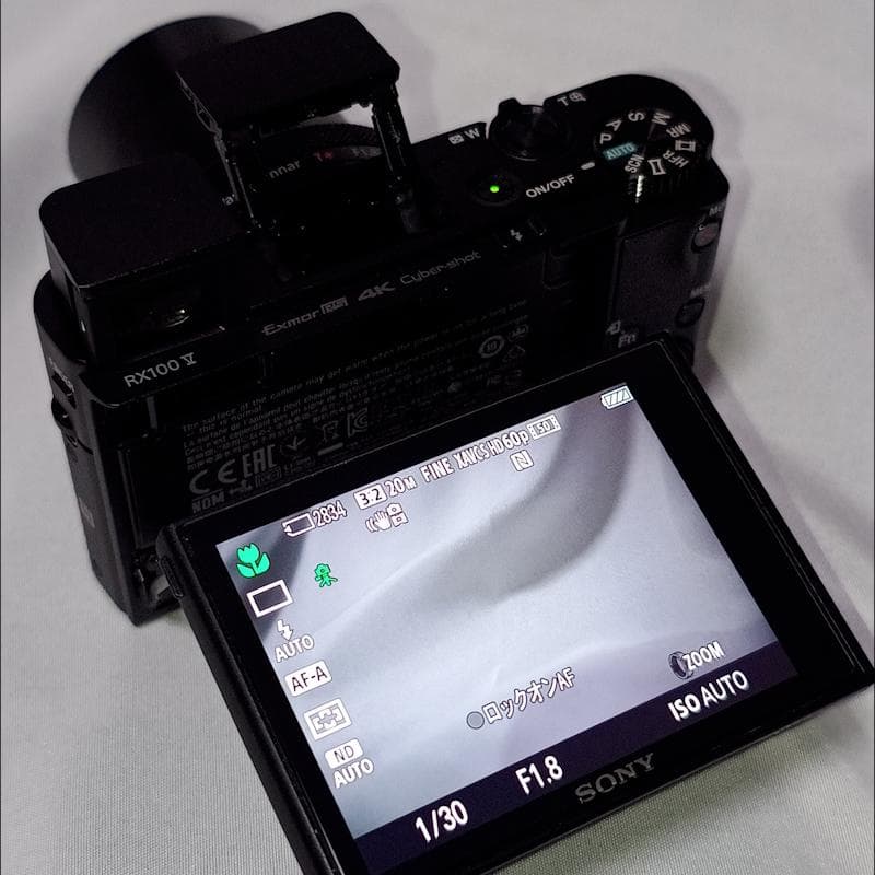 SONY DSC-RX100M5【極美品】完動品・アクセサリー多数