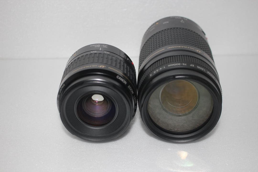 一眼レフカメラ　Canon EOS 90D標準&望遠ダブルレンズセット