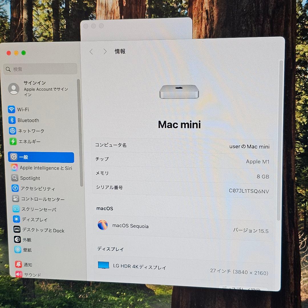 G*H様 Mac mini 2020 M1 8GB 256GB