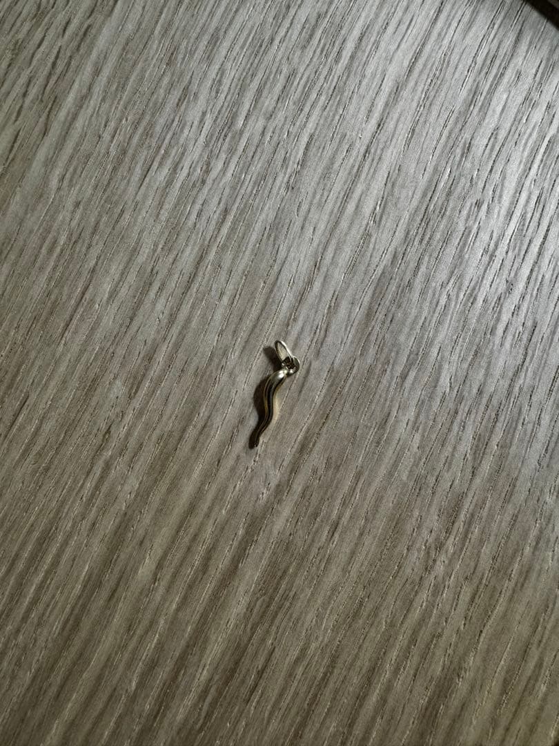 Loroヴィンテージで購入　チャーム