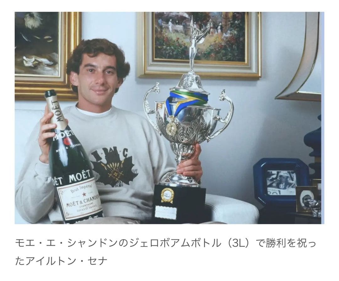 【F1シャンパンファイト】モエシャンドン　3000ml