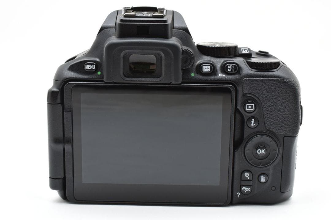 美品　ニコン D5600 ダブルズーム/SD64GB/専用ガラスフィルム/