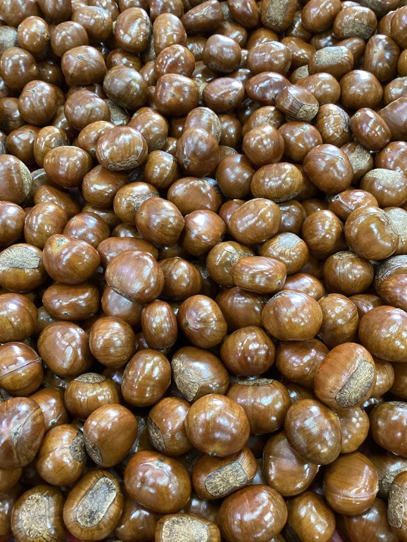 【キョロ】ビックサイズ‼️焼きたて‼️天津甘栗5キロ入り