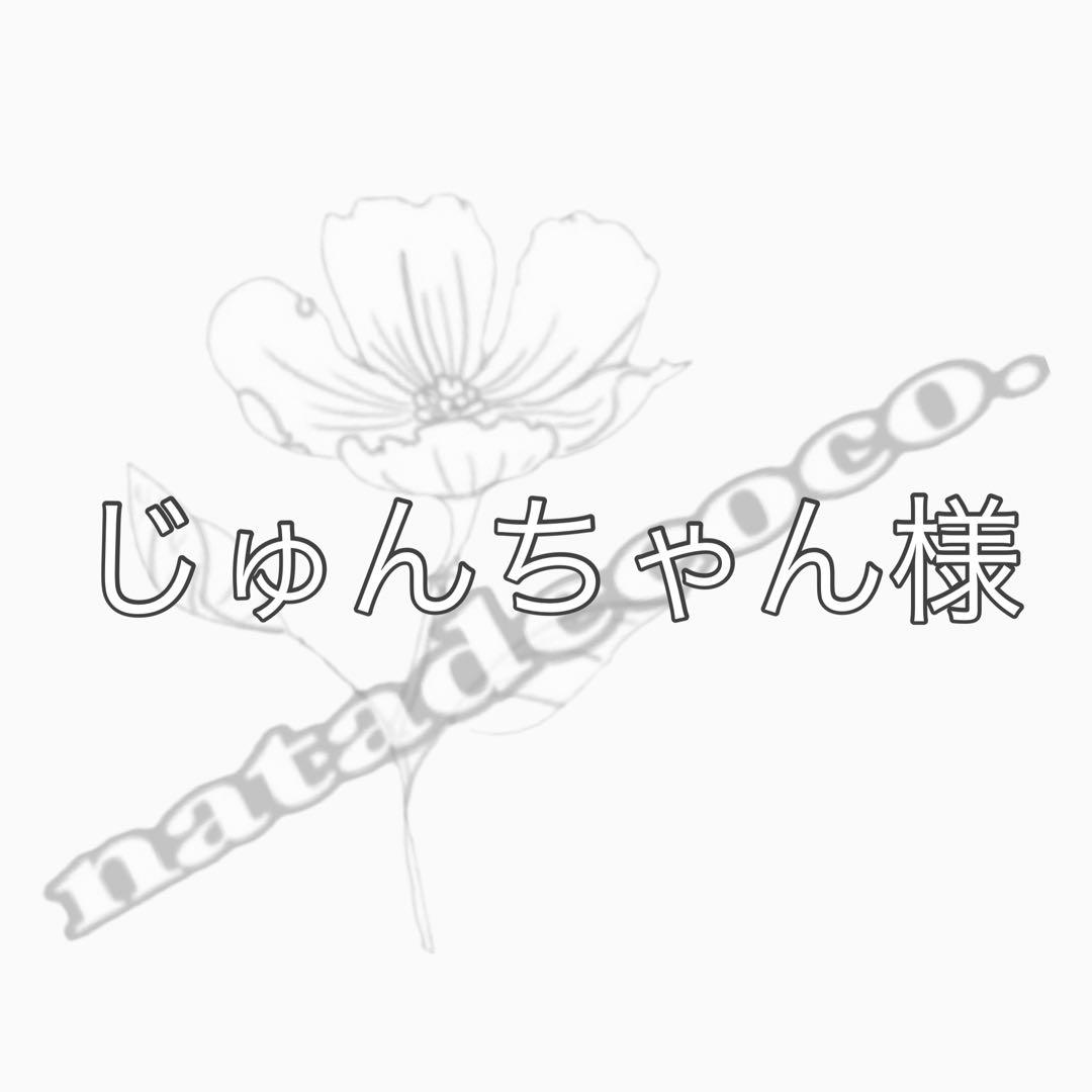 じゅんちゃん様