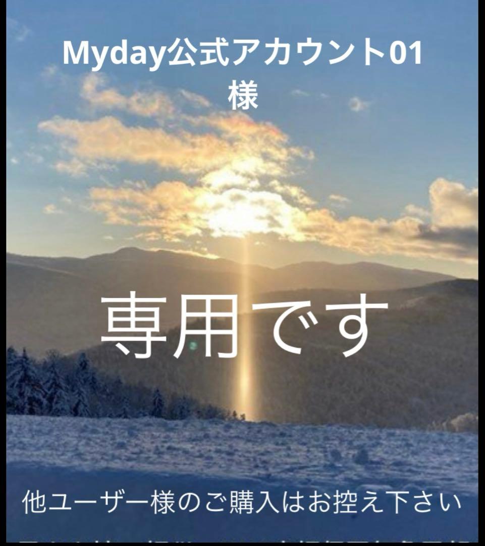 専用　　正規品CHANELピアスセット片方