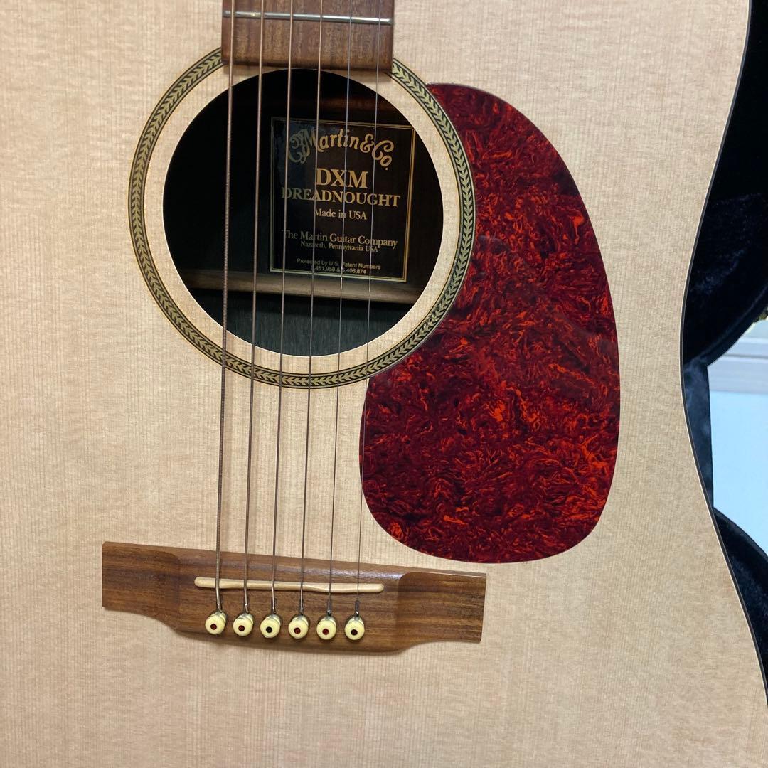 アコースティックギター Martin & Co. DXM Dreadnought