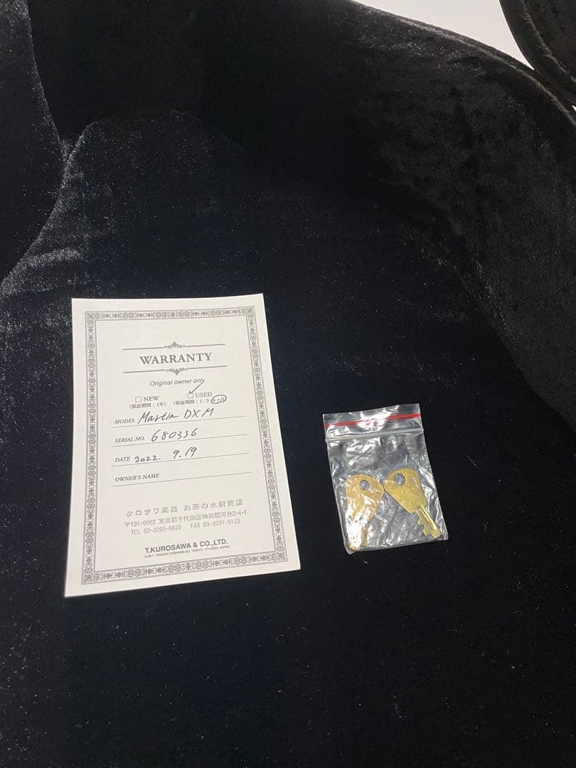 アコースティックギター Martin & Co. DXM Dreadnought