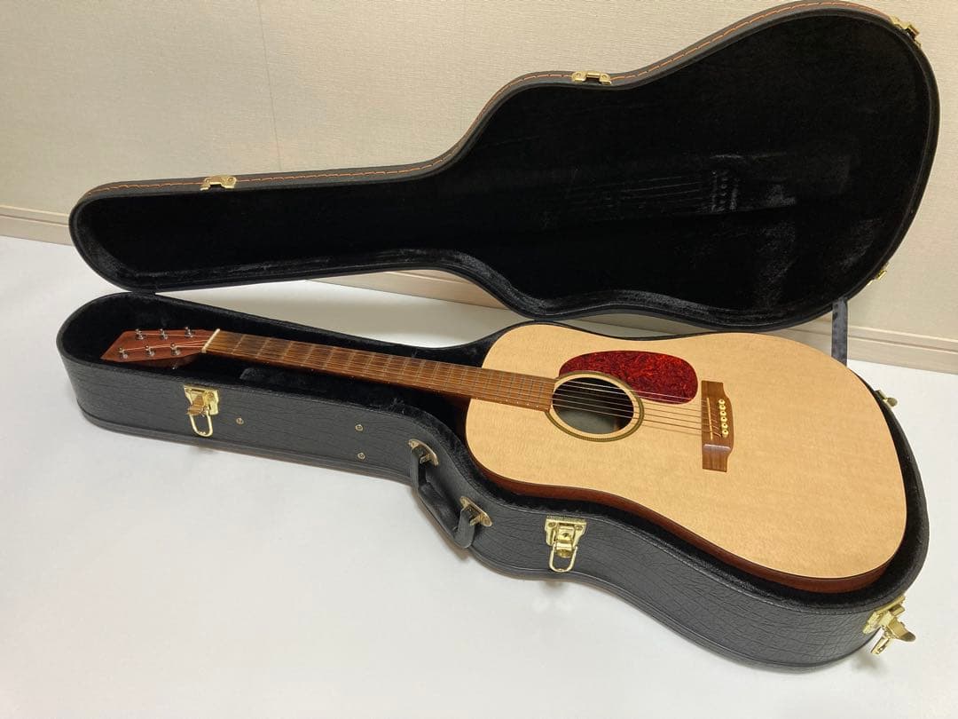 アコースティックギター Martin & Co. DXM Dreadnought