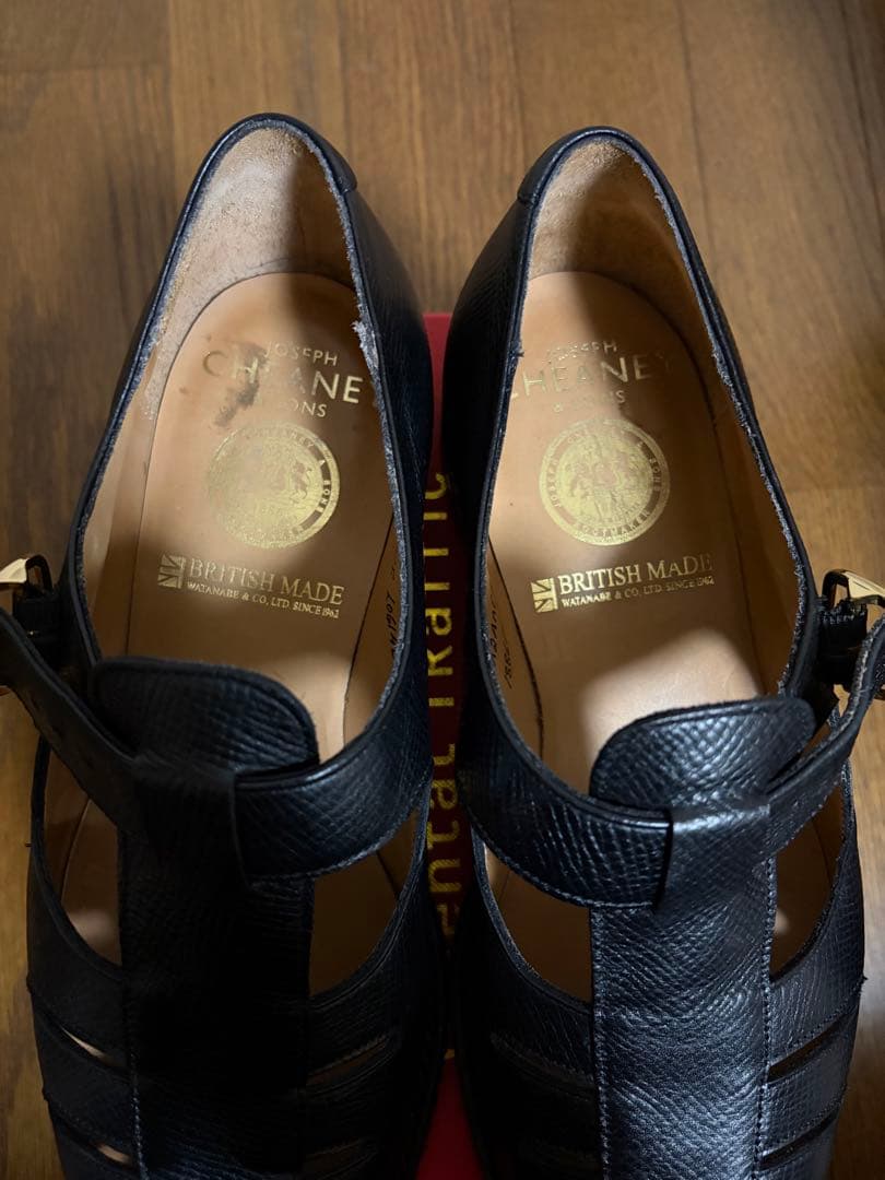 ジョセフチーニー　ペンザスⅡ