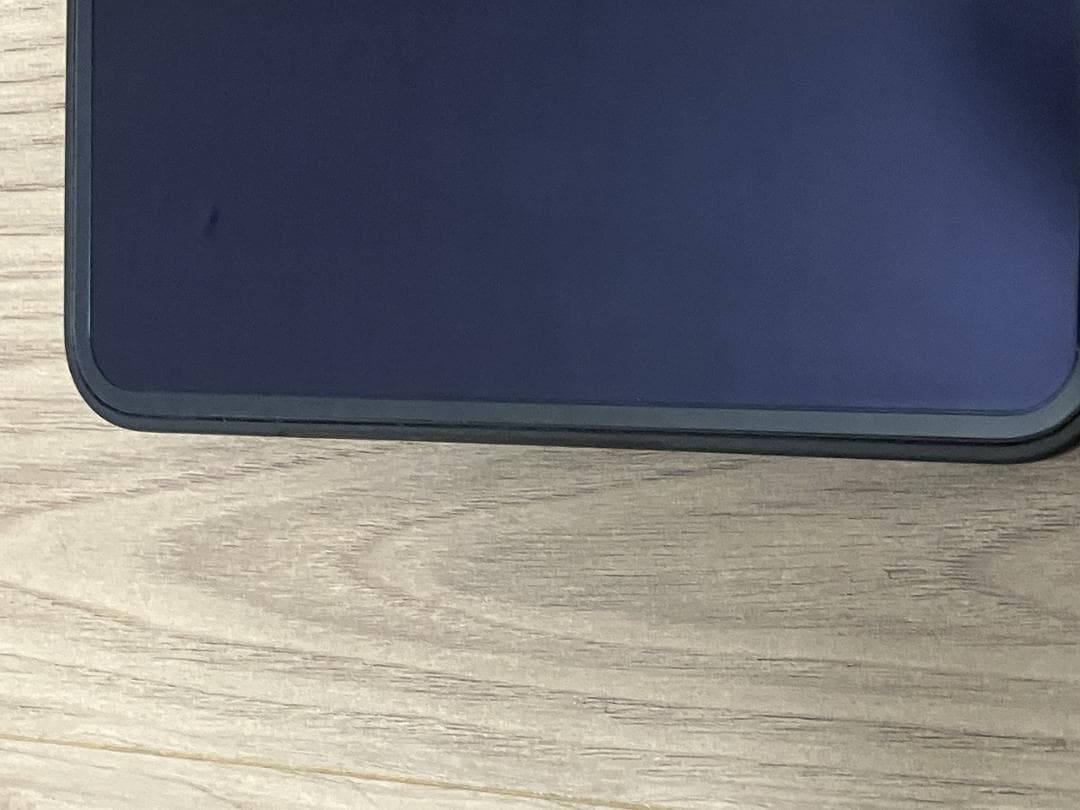 Google Pixel 9 Pro Fold 中古 (本体一式+オマケ)