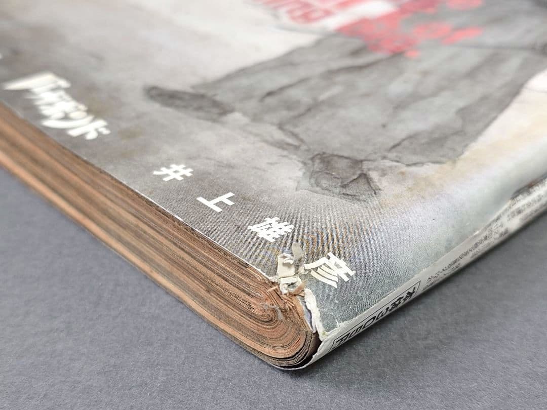 モーニング2009年10号/バガボンド表紙&巻頭カラー/#261月光/井上雄彦