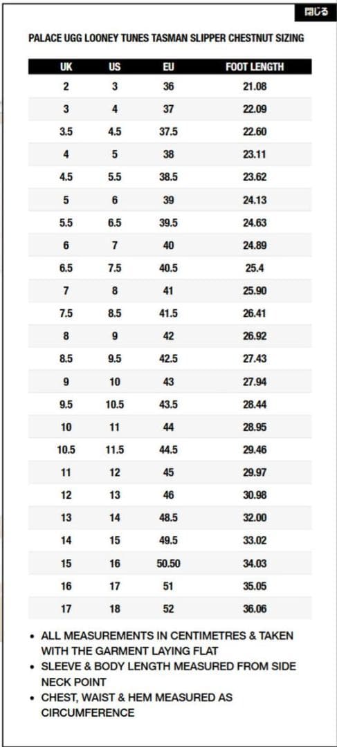 靴 PALACE UGG LOONEY TUNES TASMAN US10