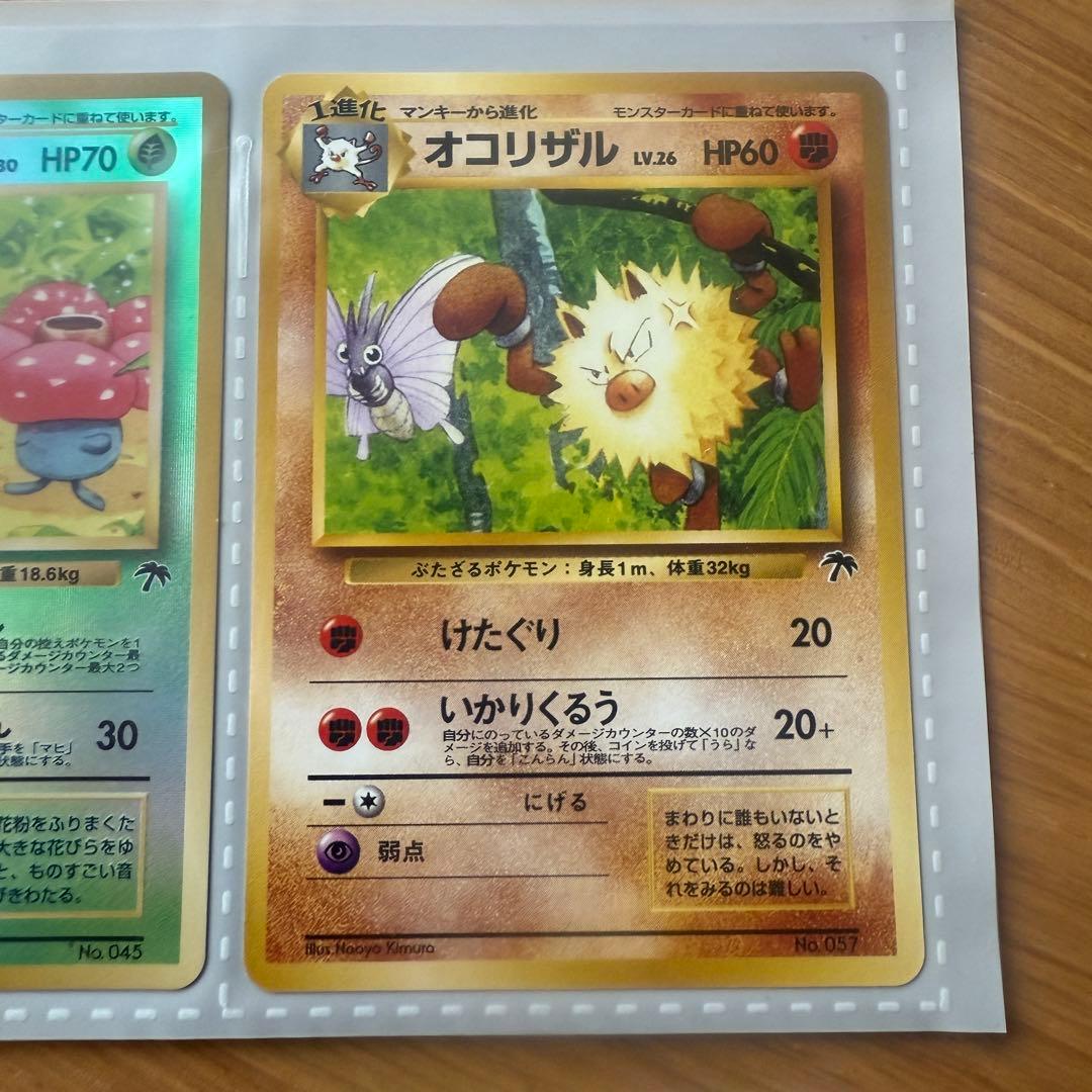 ポケモンカード トロピカルアイランド カード3枚セット