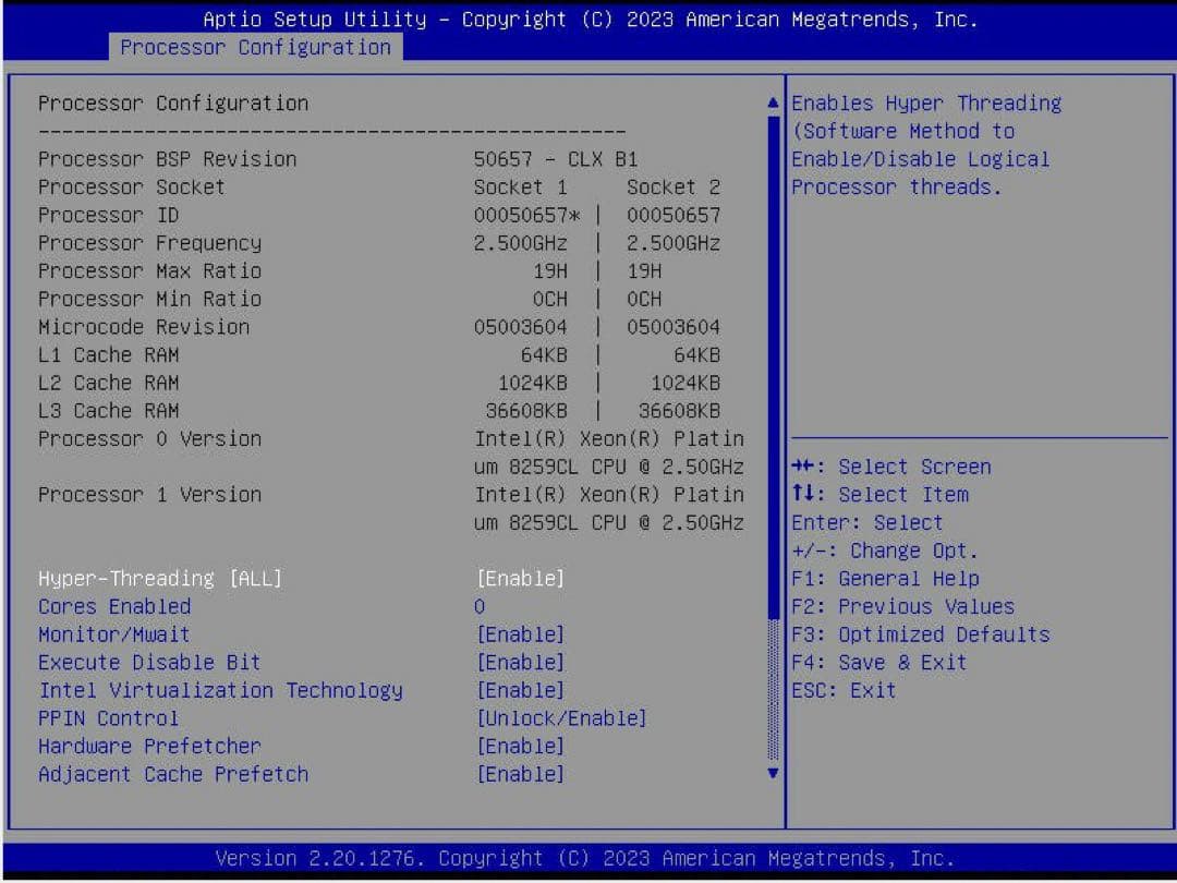 Intel Xeon Platinum 8259CL 2個