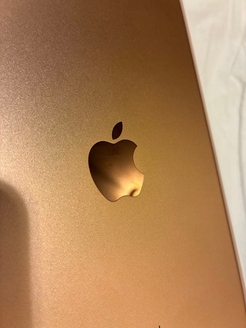 iPad mini 第五世代 64GBゴールド セルラーモデル　バッテリー92%