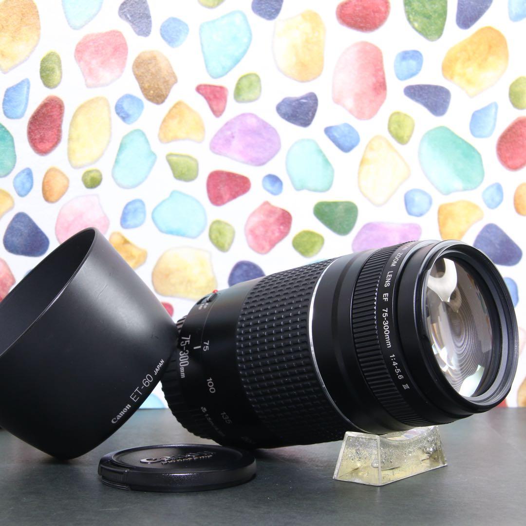 ♥︎◇カビクモリなし ◇Canon 75-300mm F4-5.6 Ⅲ