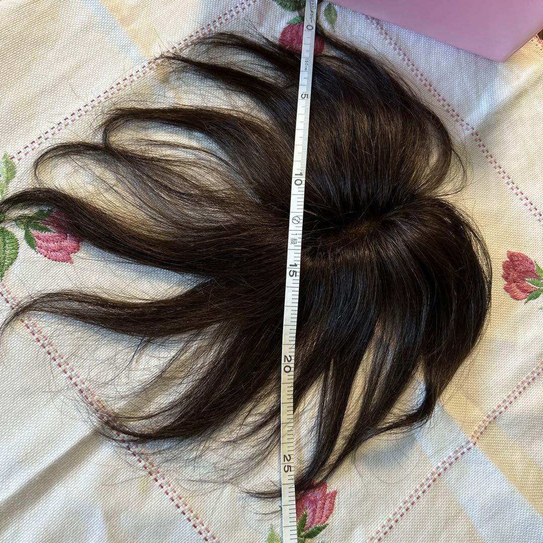 ダークブラウン /ウィッグ /分け目ピースＭサイズ/人毛50%入/新品