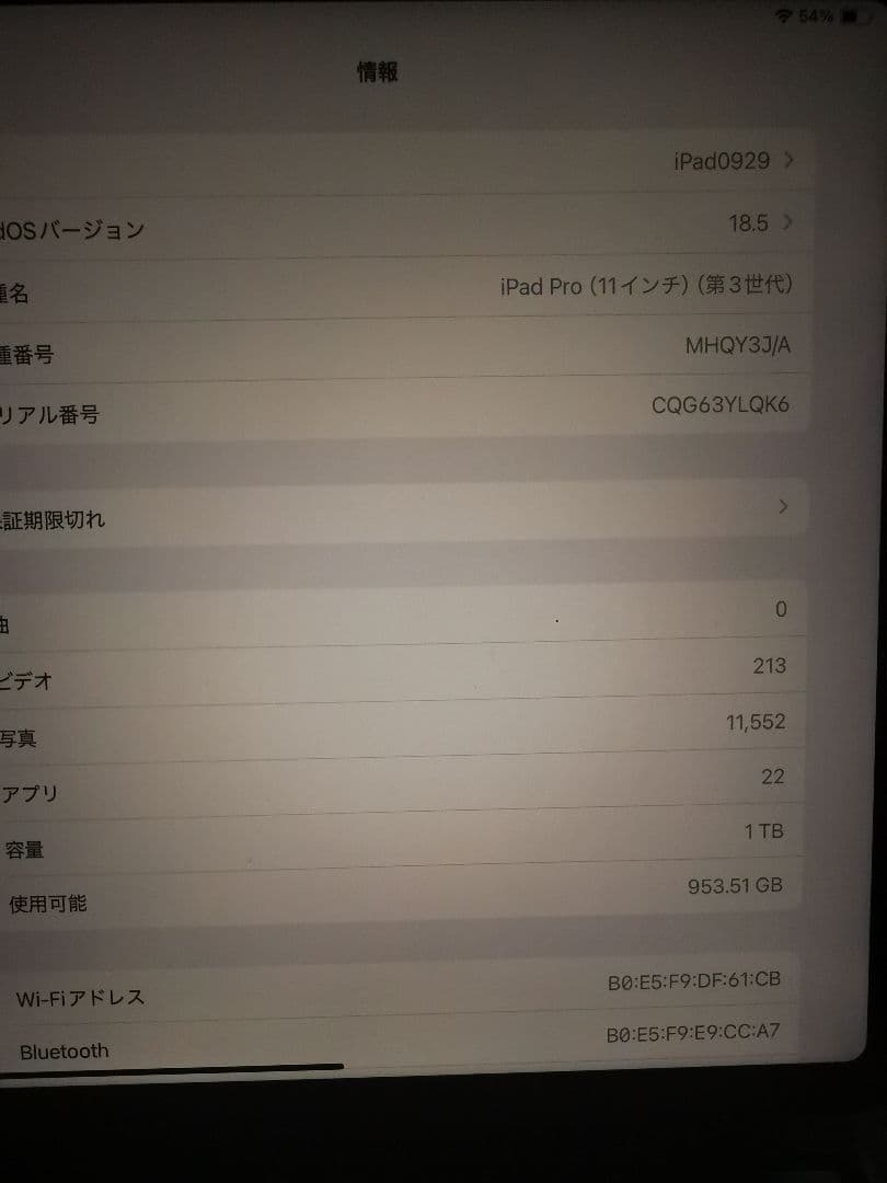 iPad Pro (11インチ) 第3世代 1TB M1