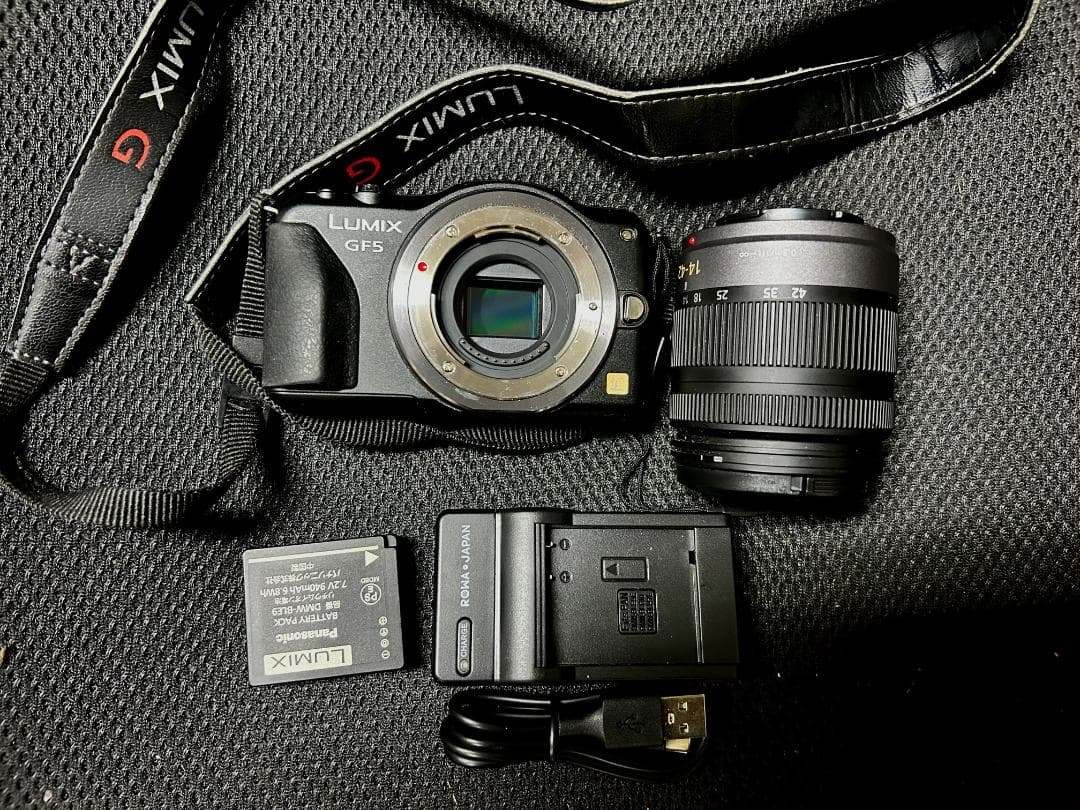 デジタルカメラ Panasonic LUMIX DMC-GF5 G VARIO 14-42mm