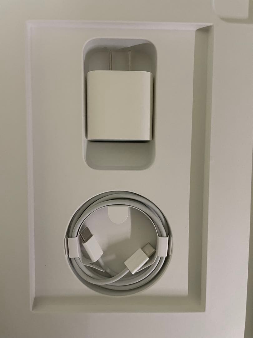 iPad Pro(第2世代)256GB 11インチ　フルセット+おまけケース