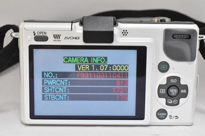 パナソニック PANASONIC LUMIX DMC-GF2 レンズキット