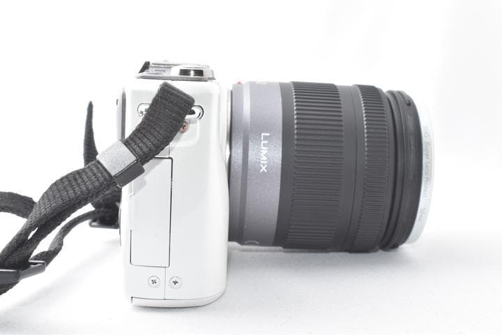 パナソニック PANASONIC LUMIX DMC-GF2 レンズキット