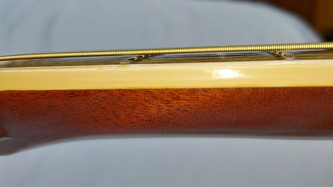 旧縦ロゴ MORRIS SPECIAL　８０ ハードケース付属